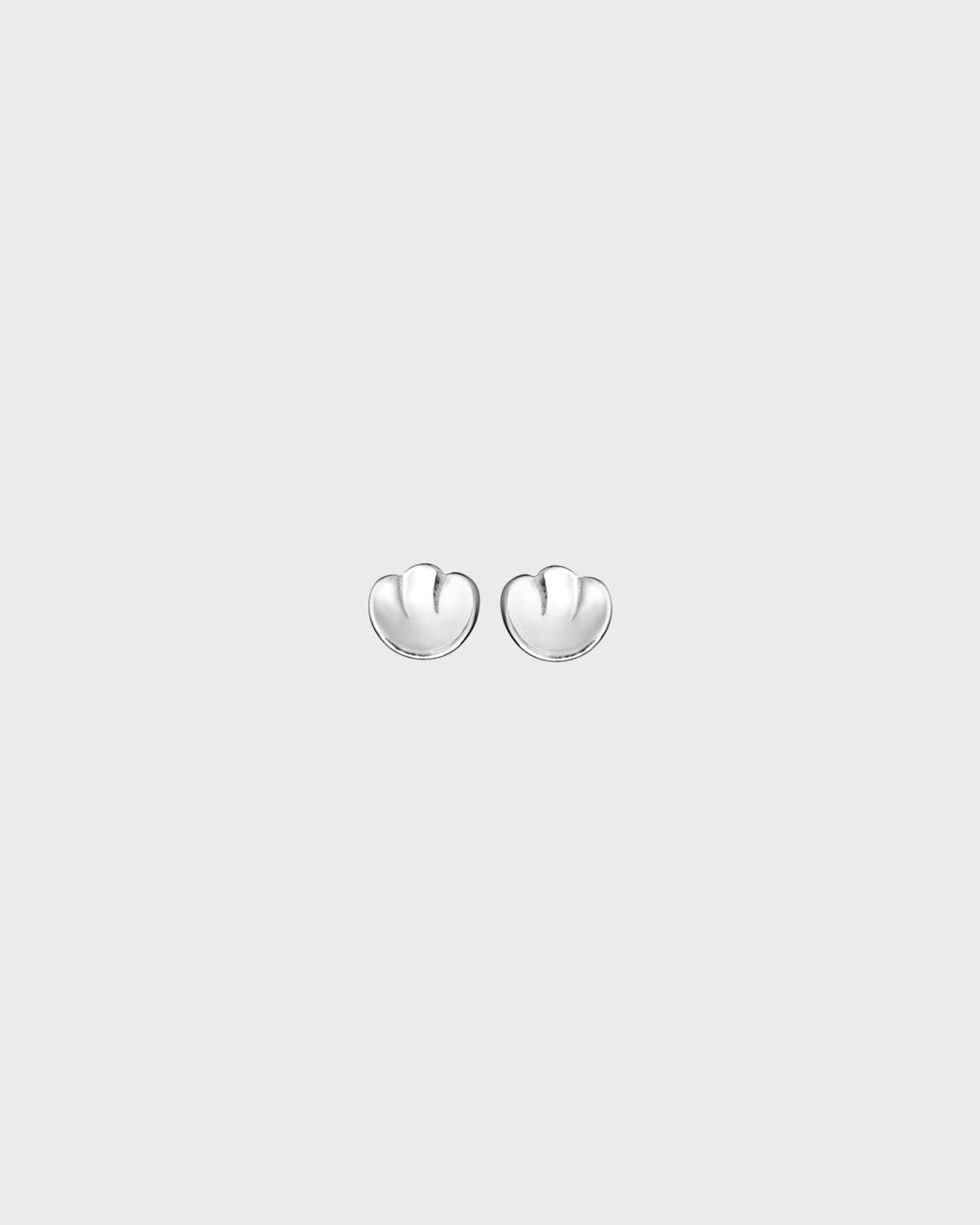 Wings Earrings silver