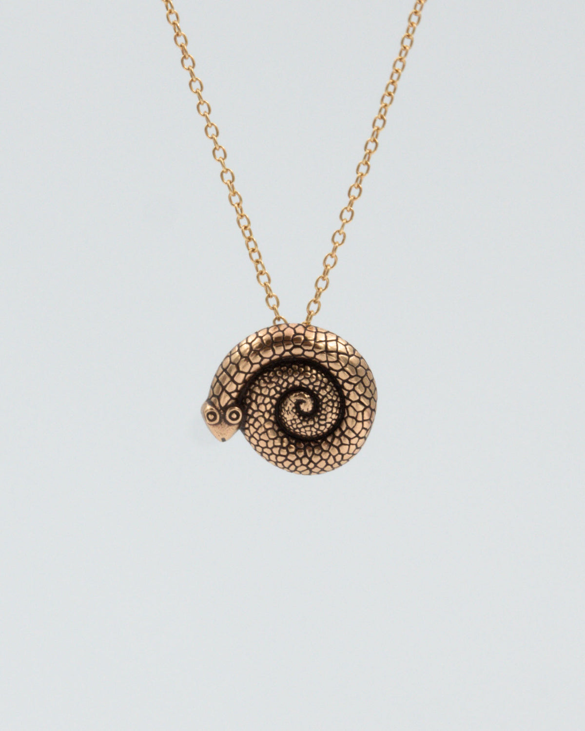 Pidetty Vaskikäärme-solkiriipus pronssi